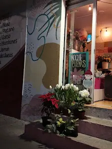 Servicios de Eufloria Floreria